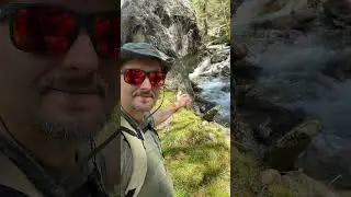 Val di canè e i suoi stambecchi