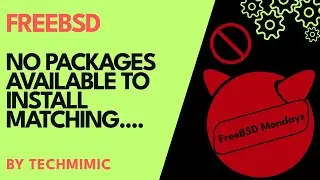 FreeBSD Repositories Explained – Fix Missing Packages Easily (No packages available....)