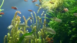 5 фишек чтобы мужчина скучал