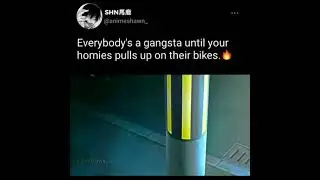 Status WA Anime - Tokyo Revengers | Tokyo Manji Gang