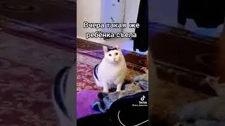 24 мая 2022 г.