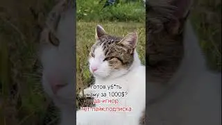 4 октября 2024 г.