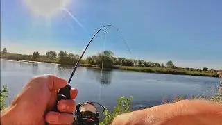 Crazy Fish Nano Zero. Что это было??