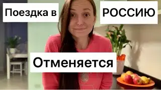 Поездка в Россию ОТМЕНЯЕТСЯ / Готовлю вкусные закуски / Новая кухня почти готова / Покупки