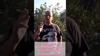 Что думает итальянец о Путине