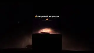 Увидел зайца? как распознать зайца от крольчихи? #приколы #приколы2024 #ржака #авто #дтп