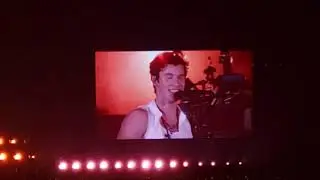 Shawn Mendes & Camila Cabello - Senorita
