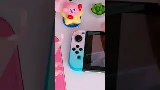 Nintendo switch customizing 🌸❄️🐾 