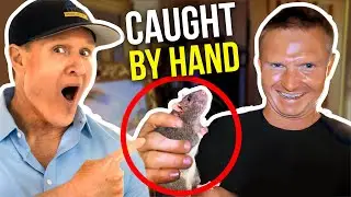 **WARNING** Worst RAT INFESTATION we have EVER seen...we called the MINK MAN..