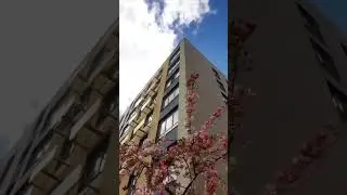 #новостройкиуфа #цветыбашкирии
