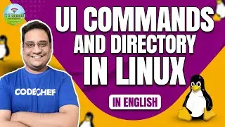 UI Commands Line: Easy Guide to Create, Navigate, and Manage Directories in LINUX in English👨🏼‍💻