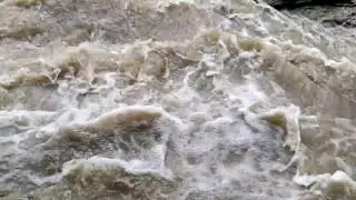 Горная река после дождя. Мощный поток воды