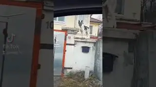 Vár rád a gyilkos
