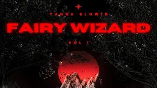 Yanna Blowin - Check loc