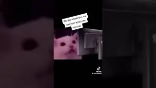 #жиза #стандофф2