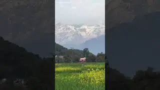 kangra valley 😍 #shorts #youtubeshorts #hills #valley