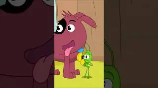 Amigo Cachorrinho | Bob Zoom
