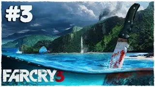 Far Cry 3 #3