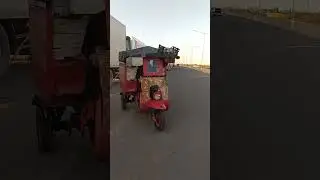 Рогатый муравей
