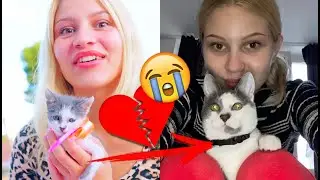 Что случилось с Кокосом ( котенок из сериала Леди Дианы)?