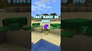 What is the Weirdest Loot in Minecraft