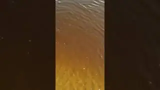 Мель мать её😂😂😂