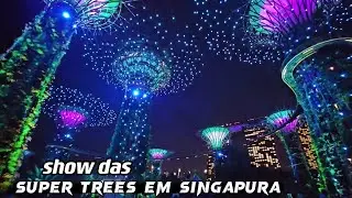 SHOW DAS SUPER TREES EM SINGAPURA