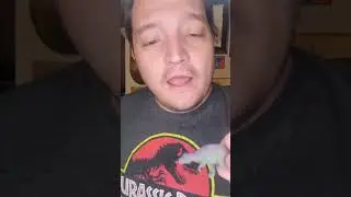 Dinosaur Day Countdown 4