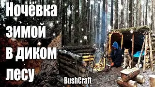 НОЧЕВКА ЗИМОЙ В ДИКОМ ЛЕСУ | Строю землянку | Бушкрафт