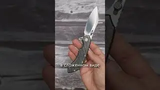 Olamic Wayfarer 247