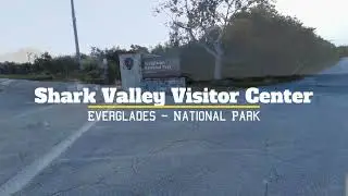 Exploring Shark Valley: An Unforgettable Journey Through the Everglades|  Florida, Walk [4k]