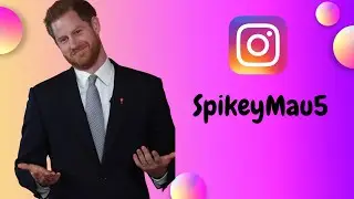 Do you know why Prince Harry chose this strange name for his Instagram account?