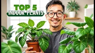 Top 5 Plants for Indoor Gardening
