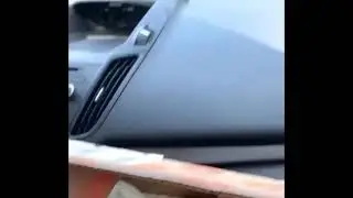 Auugh bird