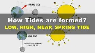 How Tides are Formed - Low, High, Neap, Spring Tide | Geography UPSC IAS