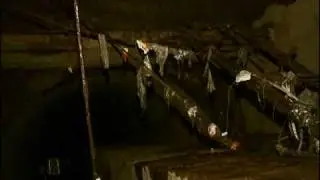 Диггеры Гродно в программе Фрэш