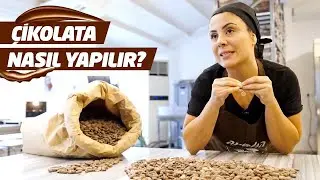 The Adventure of Chocolate from Bean to Package | Tips for Understanding Good Chocolate