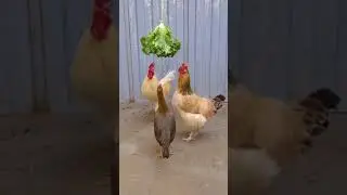 Que rompa la piñata 😁