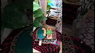 Sham ki Chai #food #vlog #travel #cooking #trending