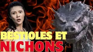 Bestioles et Nichons : Les Joies du DTV Chinois !