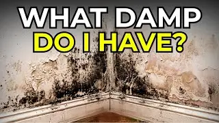 Condensation? Penetrating Damp? Rising Damp? Advice on how to spot & how to fix.