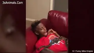 Funniest Animals Scaring People Reactions of 2019 Weekly Com