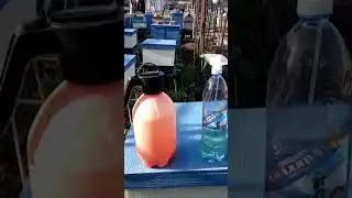 Пасіка дяді Міші ✔ Чим дезинфікувати ППС та ППУ вулики