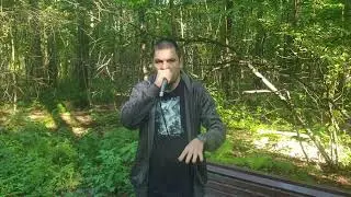 Битбокс в Лесу