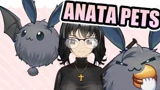 Anata Pets Live2d Item Guide