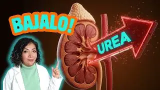Lower your urea levels; these are the solutions.