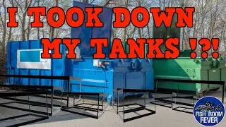 I TOOK DOWN MY TANKS!