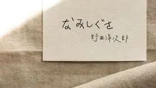 我最大的遺憾，是你：なみしぐさ 揮揮手 - 野田洋次郎 from RADWIMPS｜日影《那夜我們行向彼方》主題曲｜中日歌詞