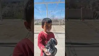 Оминахоним