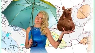 interesting facts about animals